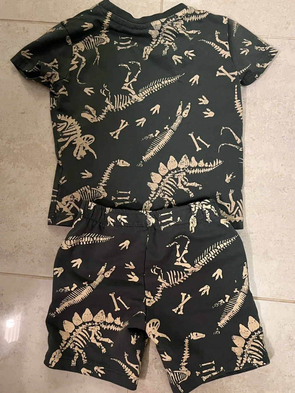 Lilly & Dan Toddler Dinosaur Set in Dark Green with Cream Print 3T